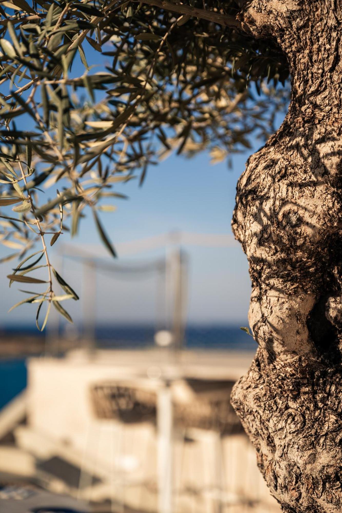 XVI Suites - Adults Only Naxxar Exterior foto
